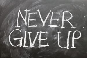 Team Expansion is passionate about creative, strategic perseverance until the results are achieved.