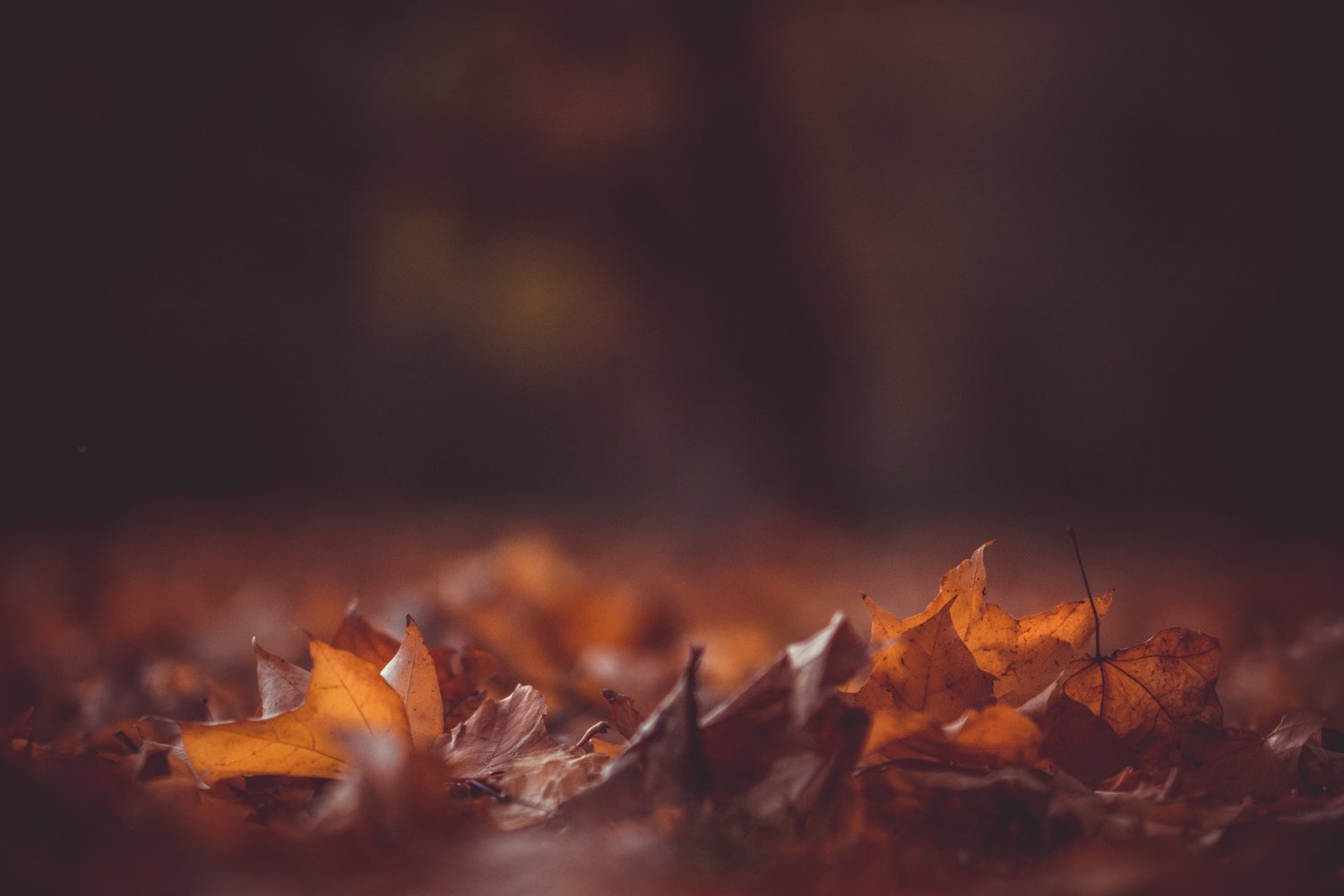 4 Ways to Be Missional This Thanksgiving: Include Outsiders