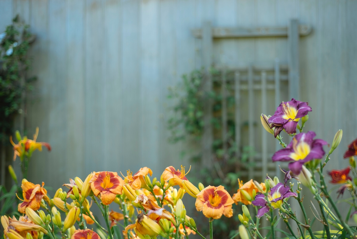 One Encounter with a Weeping Gardener