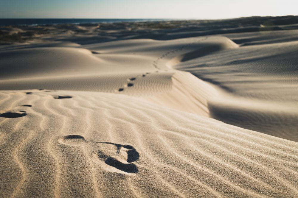 Their Life of Isolation Makes them Resistant – Daily Prayer Force