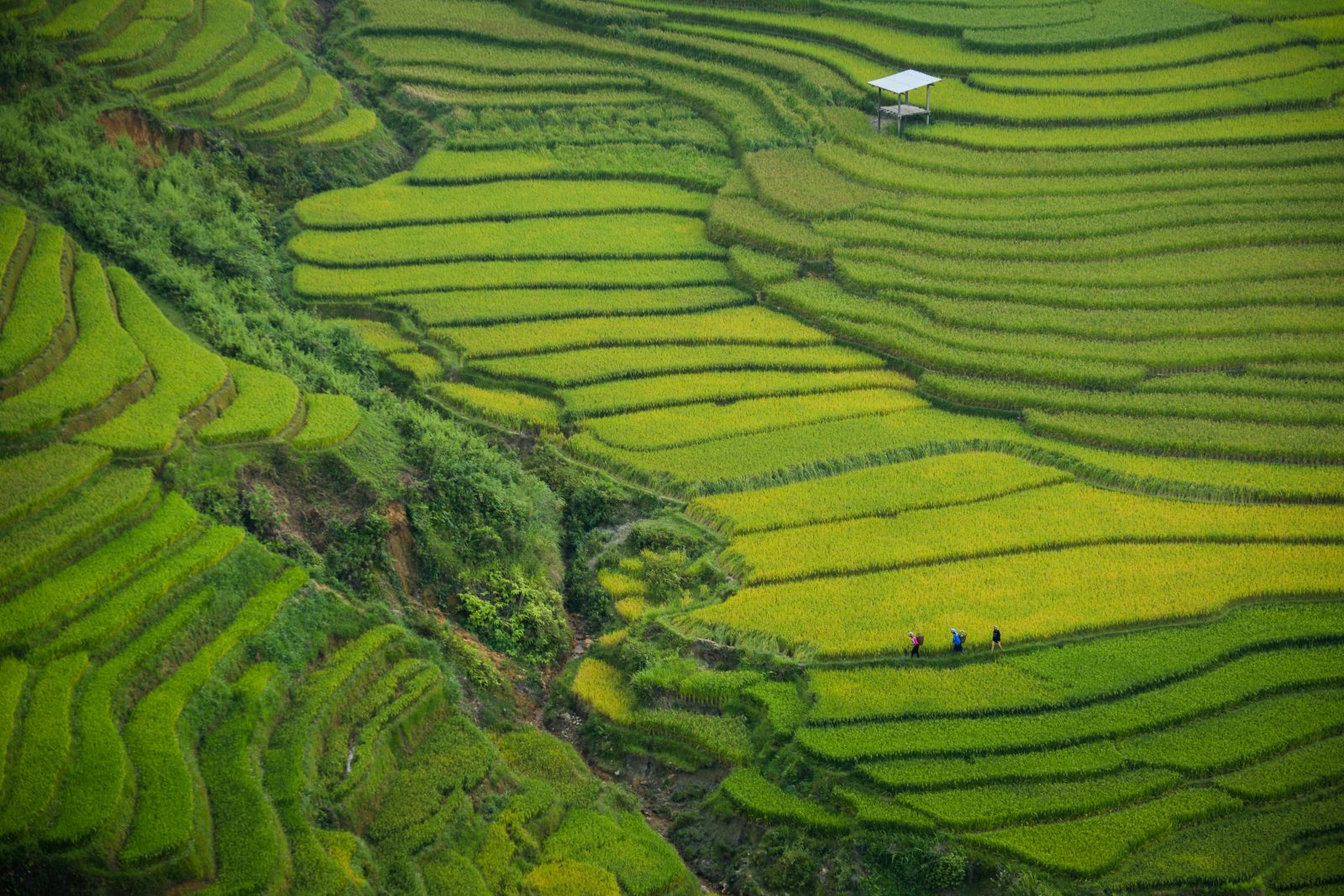In a Remote District of China – Daily Prayer Force