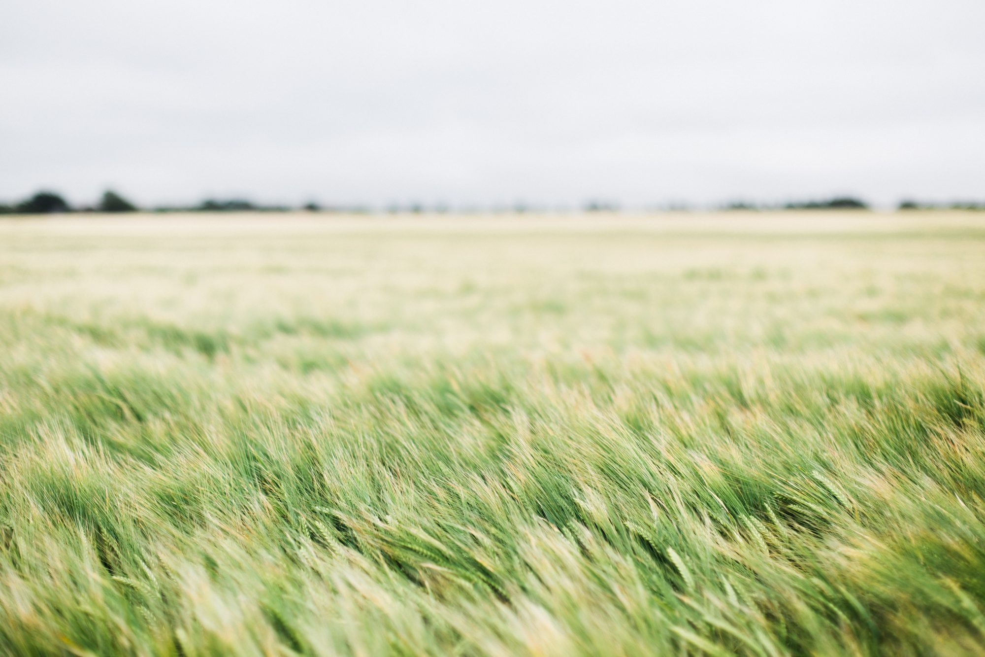 Pray for Workers Trying to Get to the Field – Daily Prayer Force