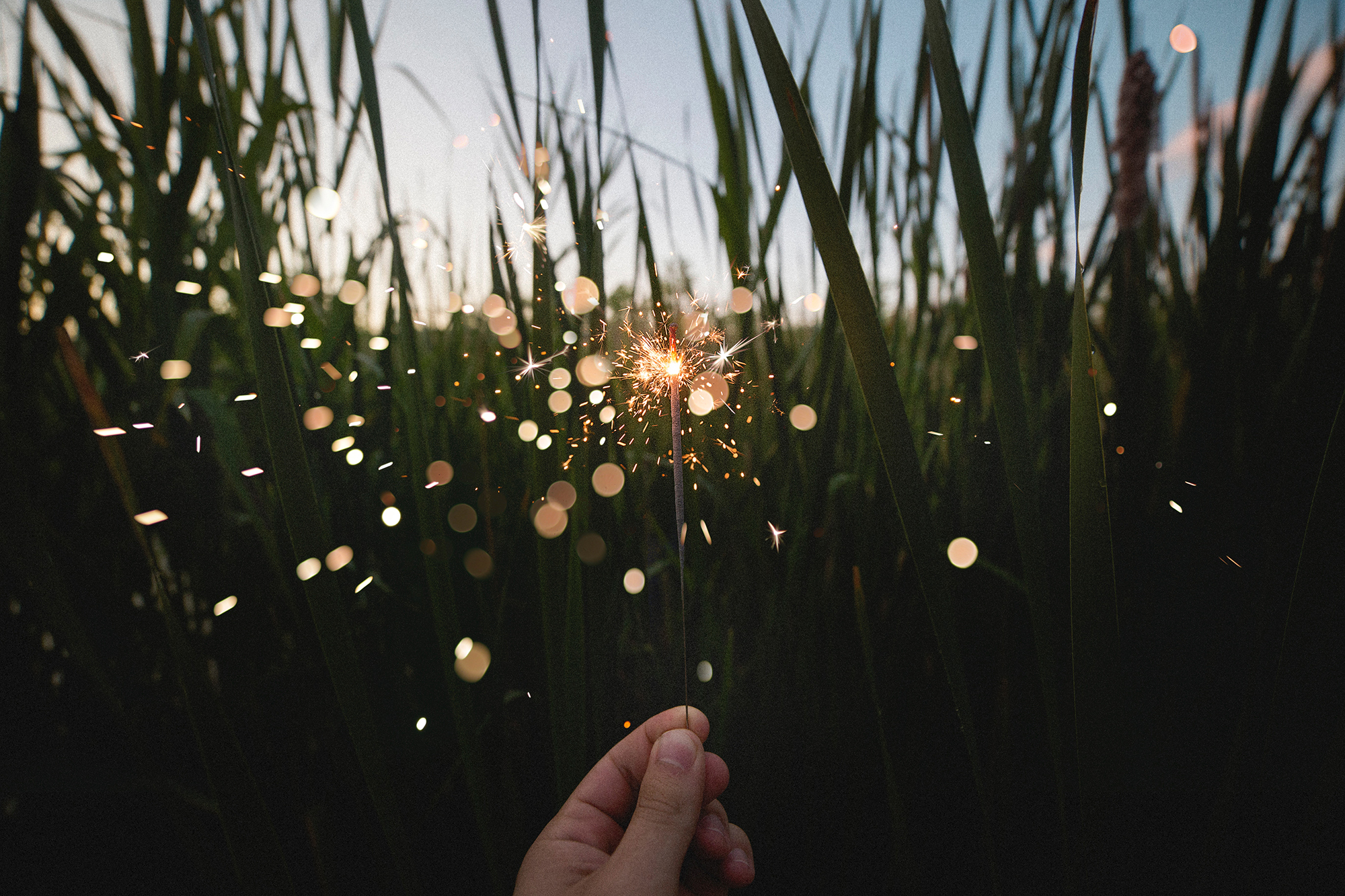 2018: Highlights From an Incredible Year
