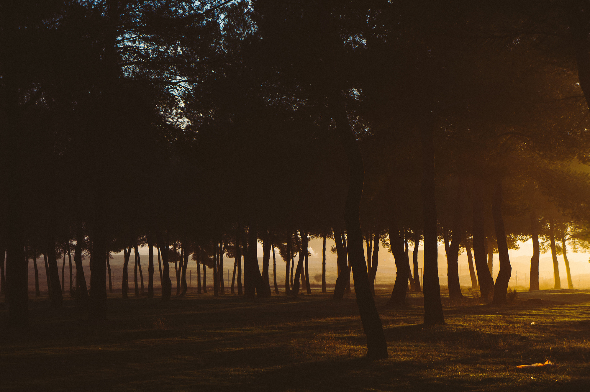 Pray for an Awakening Among the Muslim People of “Aslan”