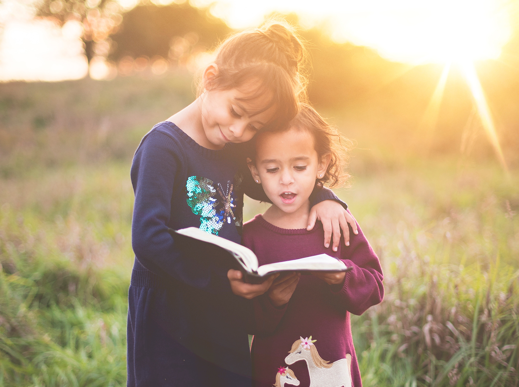 Bibles in Their Languages to be Distributed and Embraced