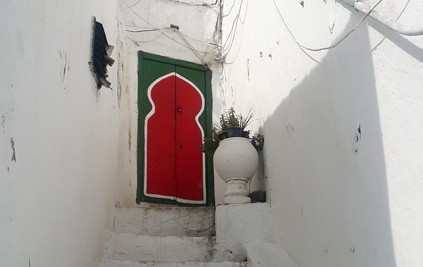 Prayer Force: Group Forming in North Africa to Study the Bible