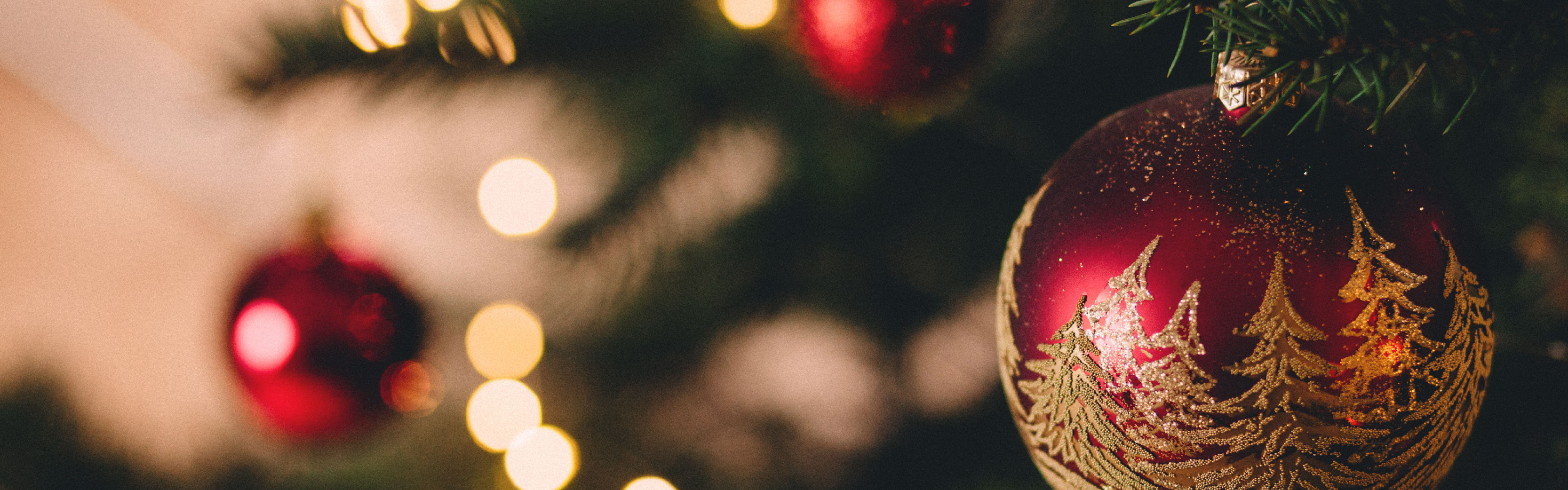An Ordinary Christmas Party