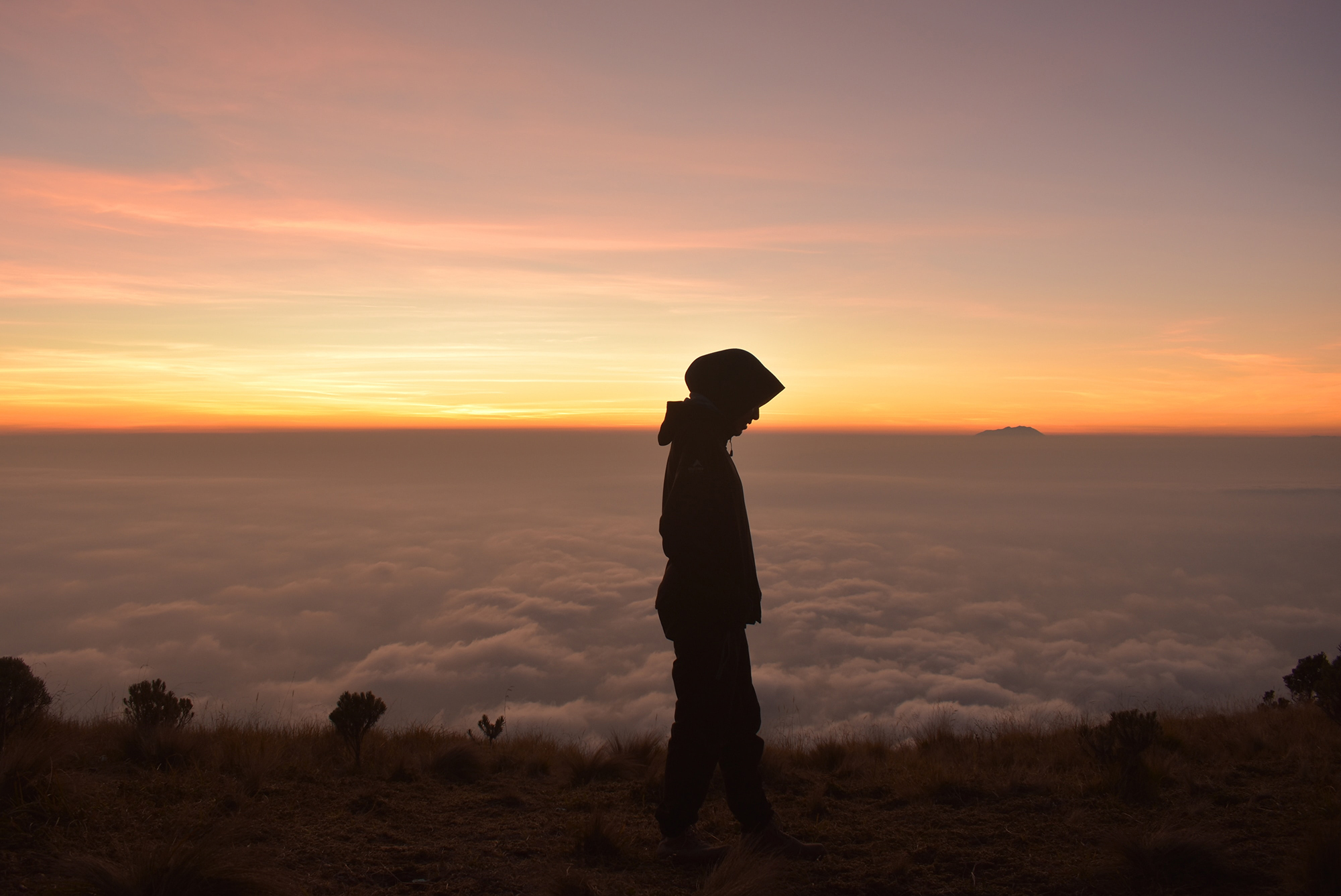 Muslims believe that God is unknowable