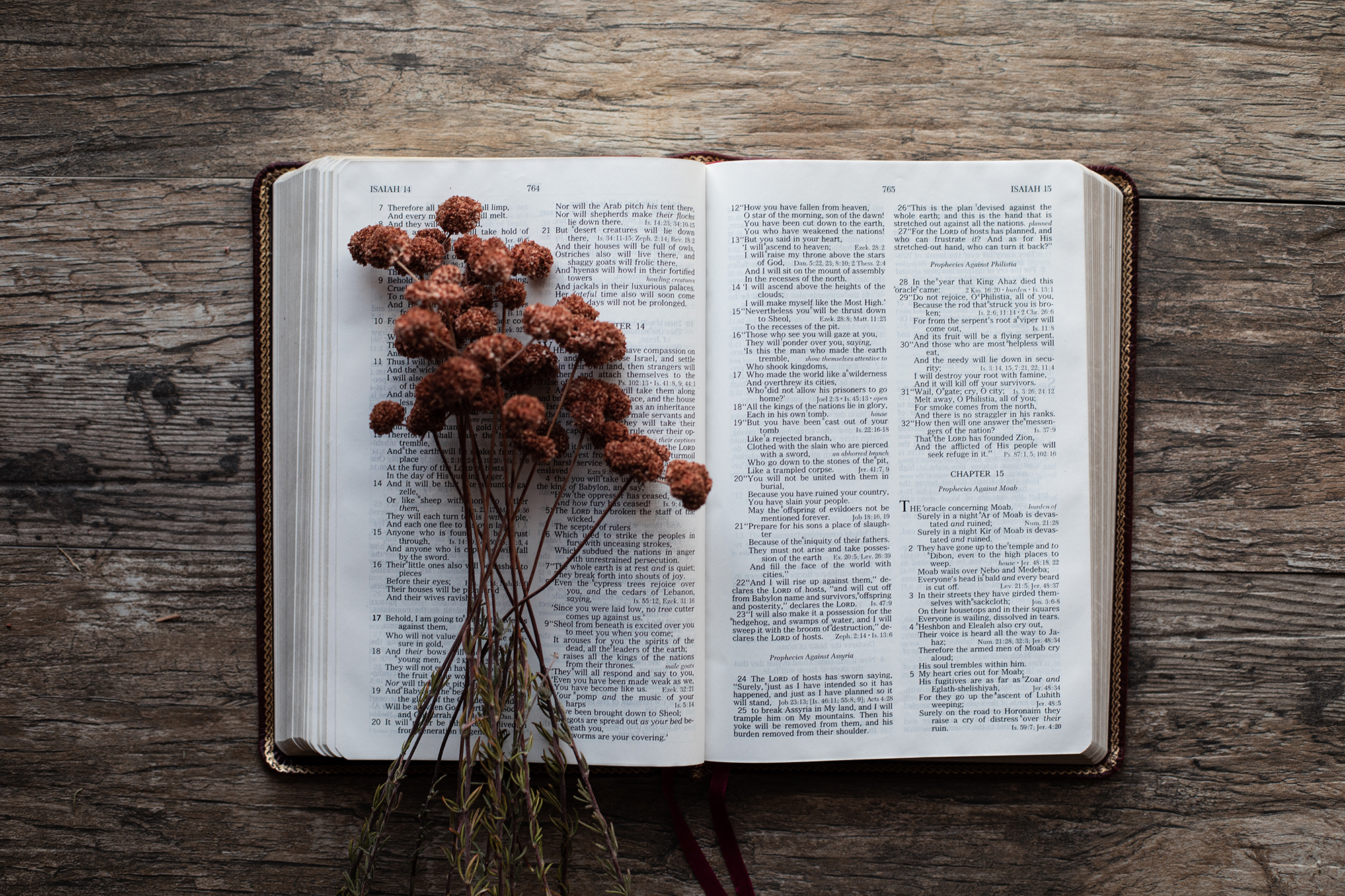 People are dying every day without knowing the Good News