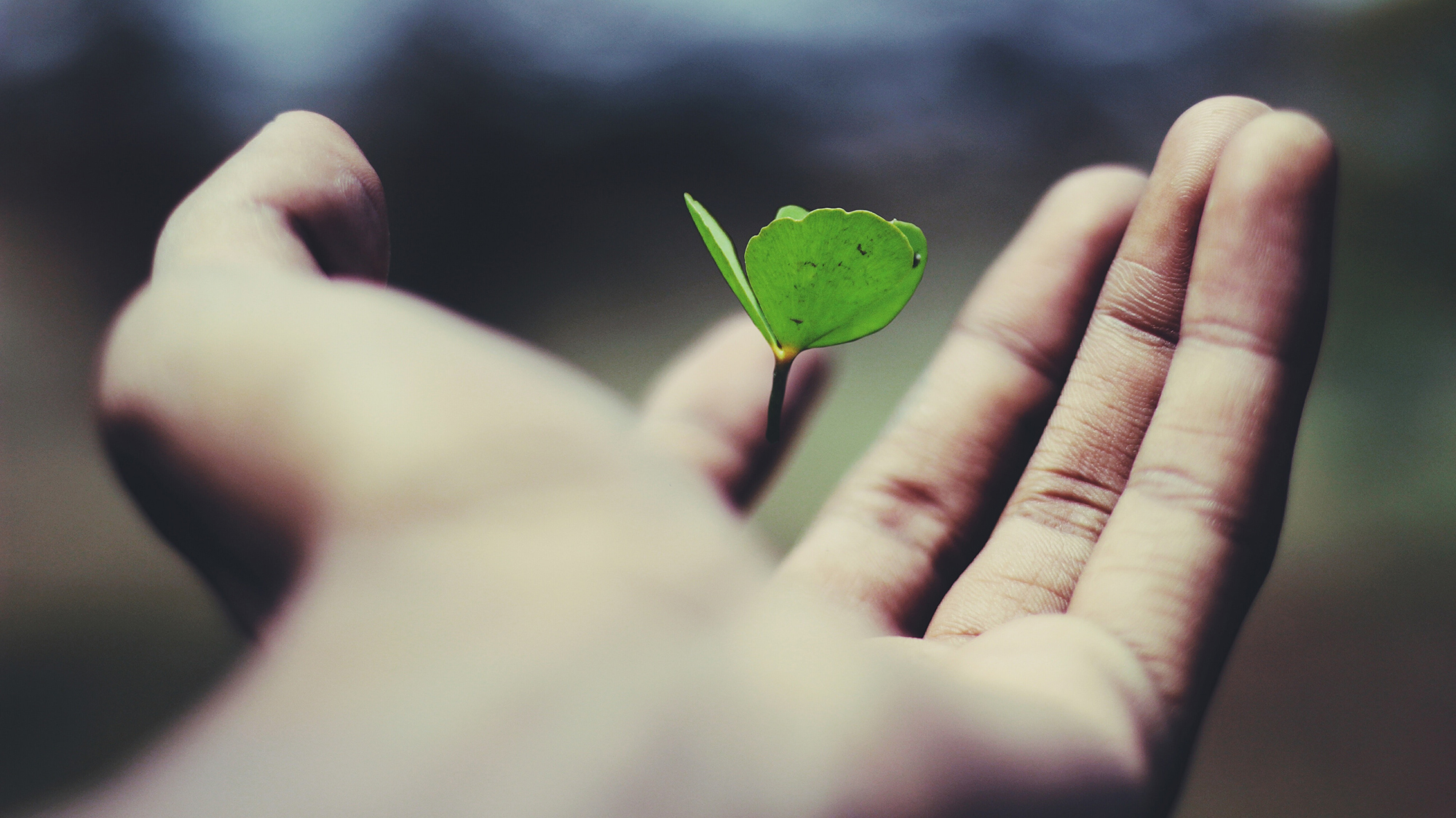 A Lesson Learned from a Lifetime of Prayer