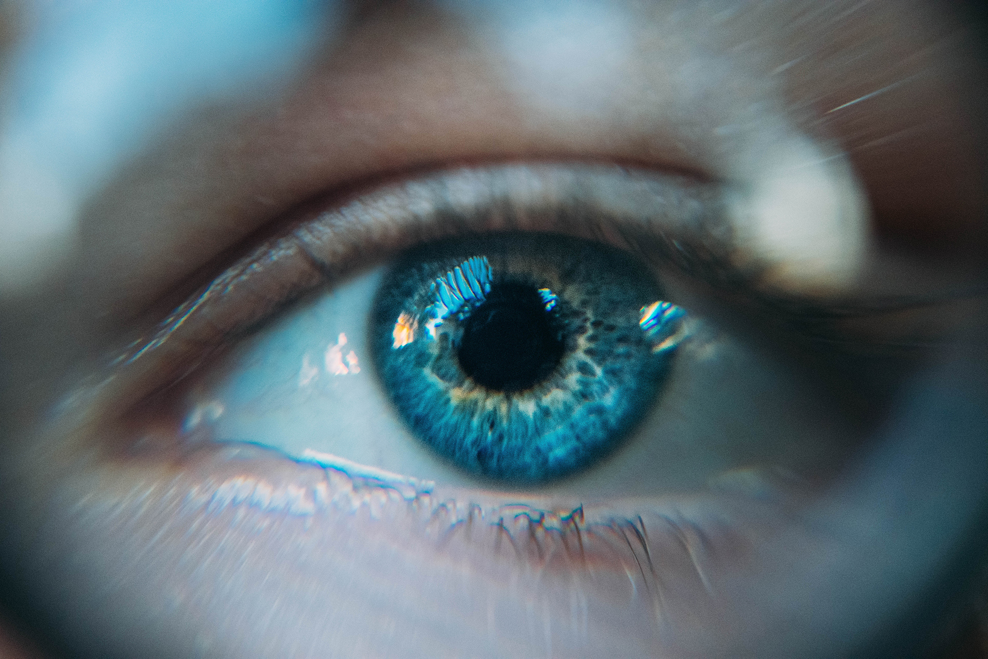 The vision in Revelation given to the Apostle John