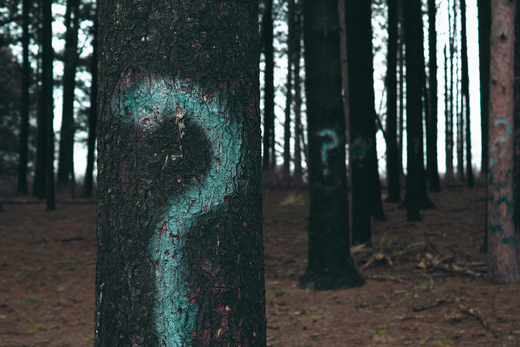 Can Your Church’s Missions Team Answer this Three Letter Question?